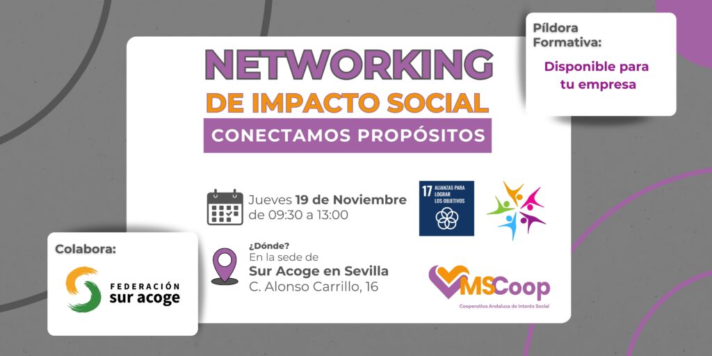 SEVILLA empresas pymes ongs asociaciones